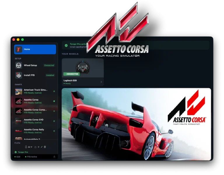 How to set up Force Feedback for Assetto Corsa on Mac (step-by-step with CrossOver + Torqer)