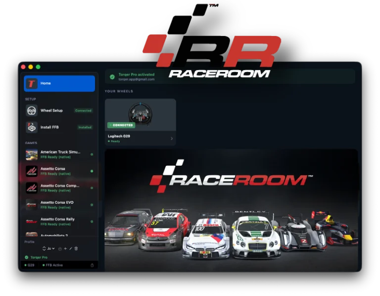 How to play RaceRoom on Mac with force feedback (CrossOver + Torqer)